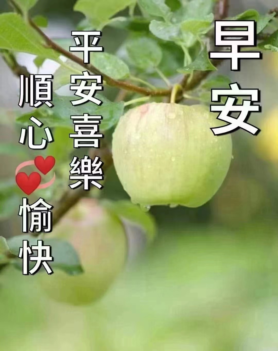 微信圖片_20221005161934.jpg