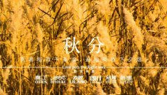 秋分丨晝夜分畫，漸入秋華
