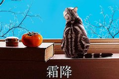 霜降丨縱然霜華盡染，心中美好如初