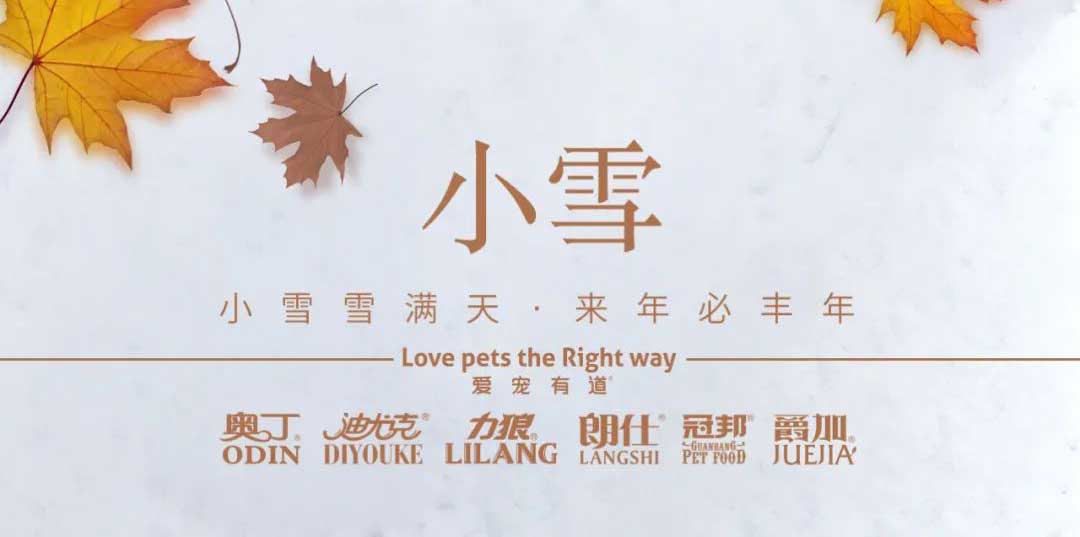 小雪丨天地初寒，歲月安暖
